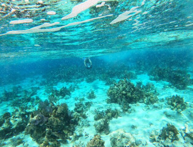 Skibob underwater in the Bahamas